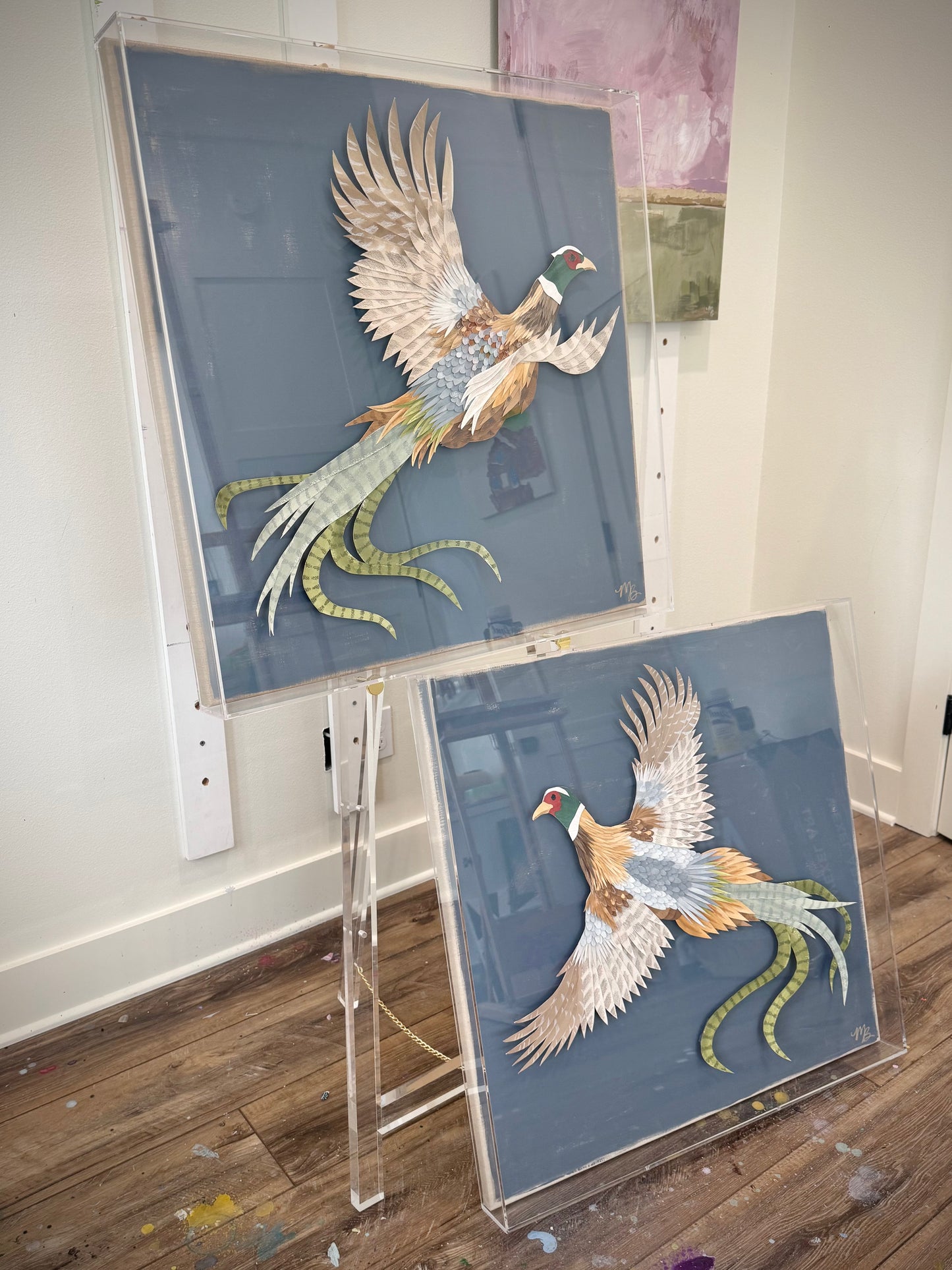Plumage 1
