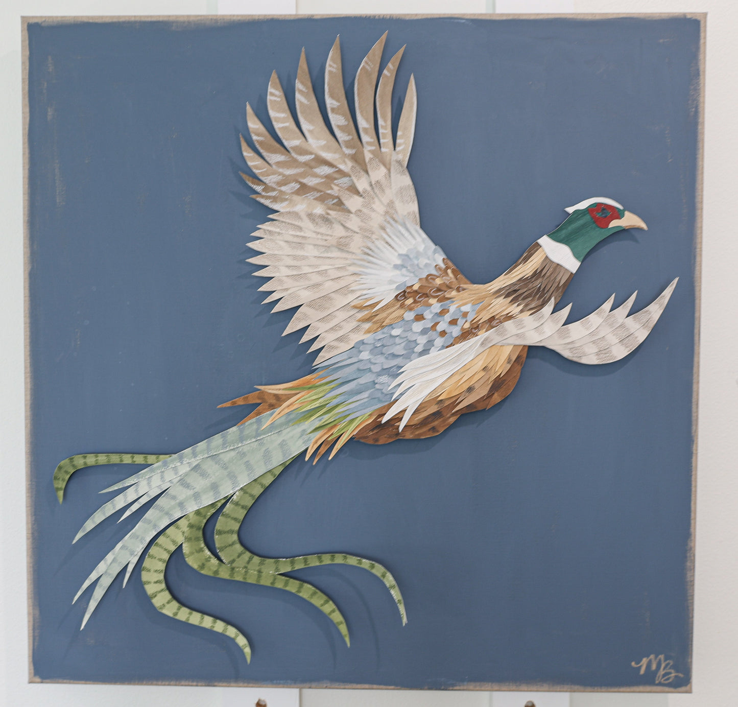Plumage 1