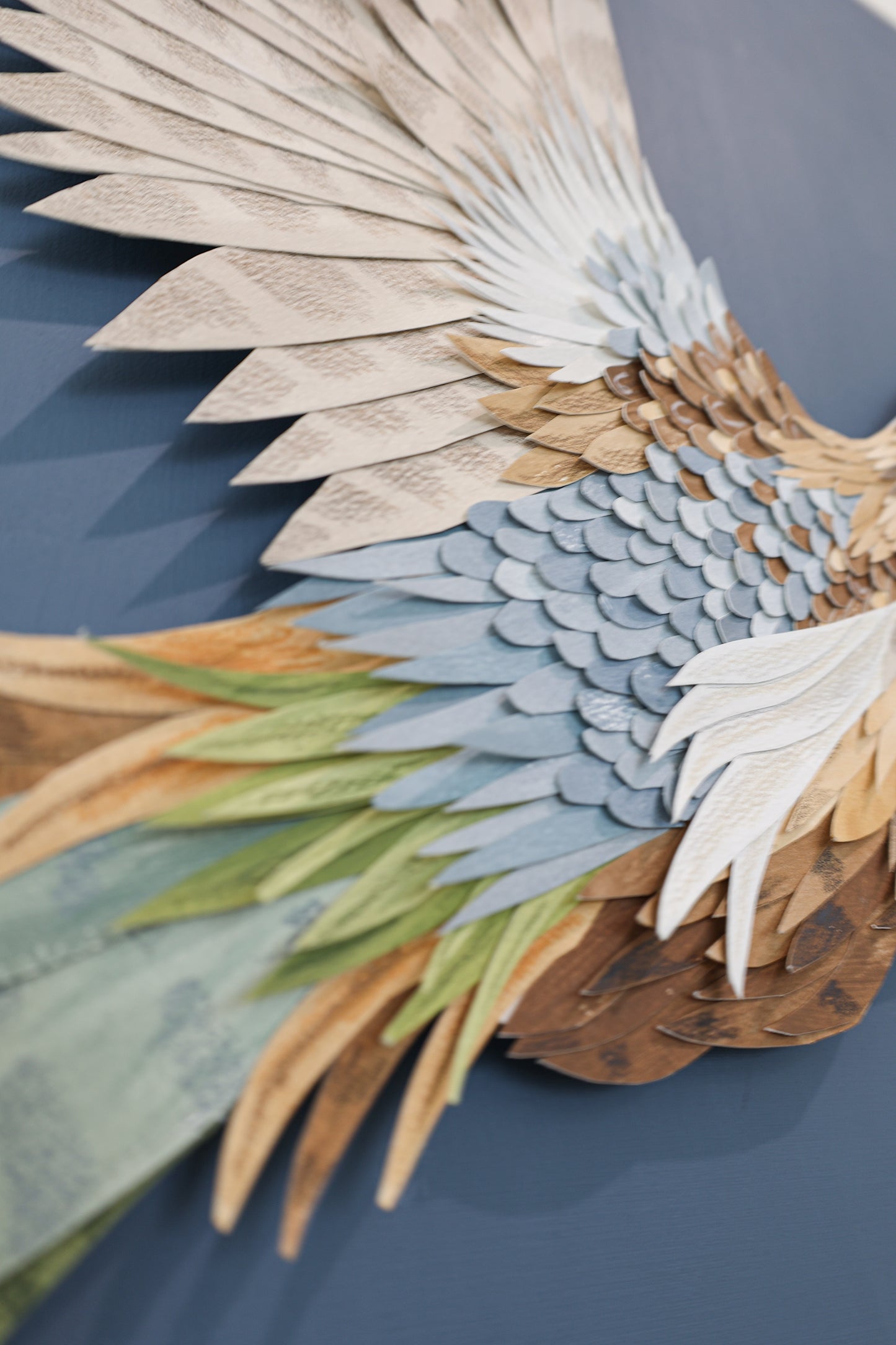 Plumage 1