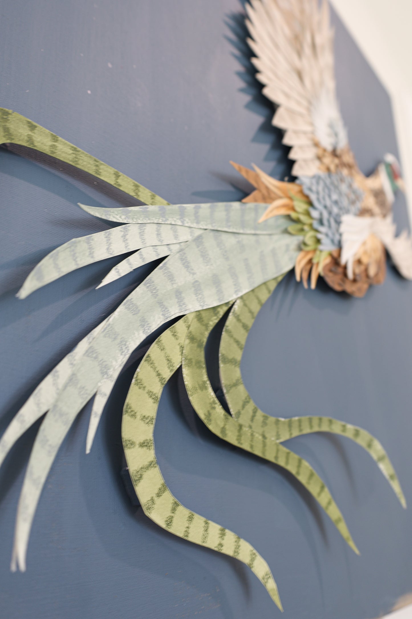 Plumage 1