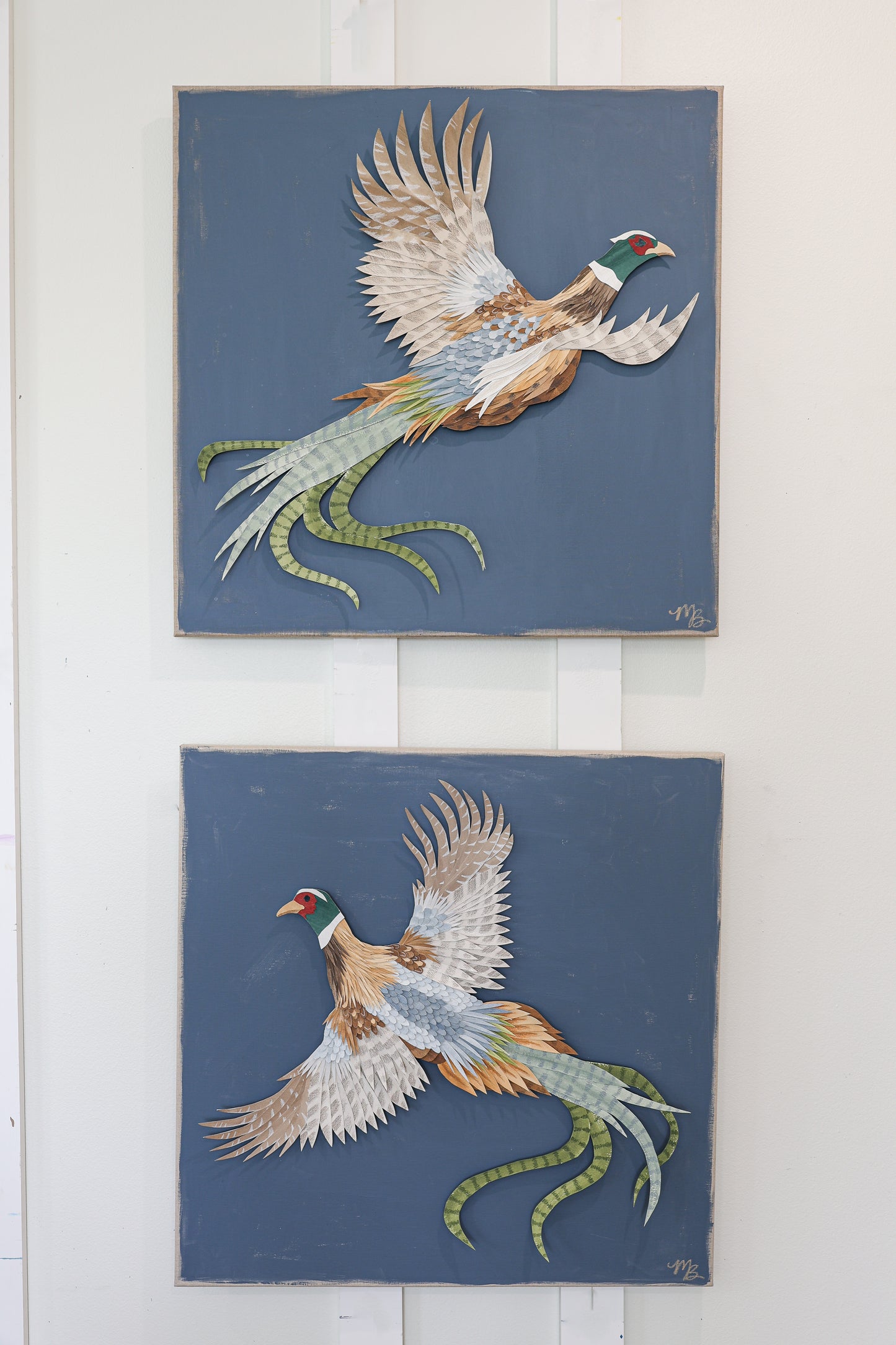 Plumage 1
