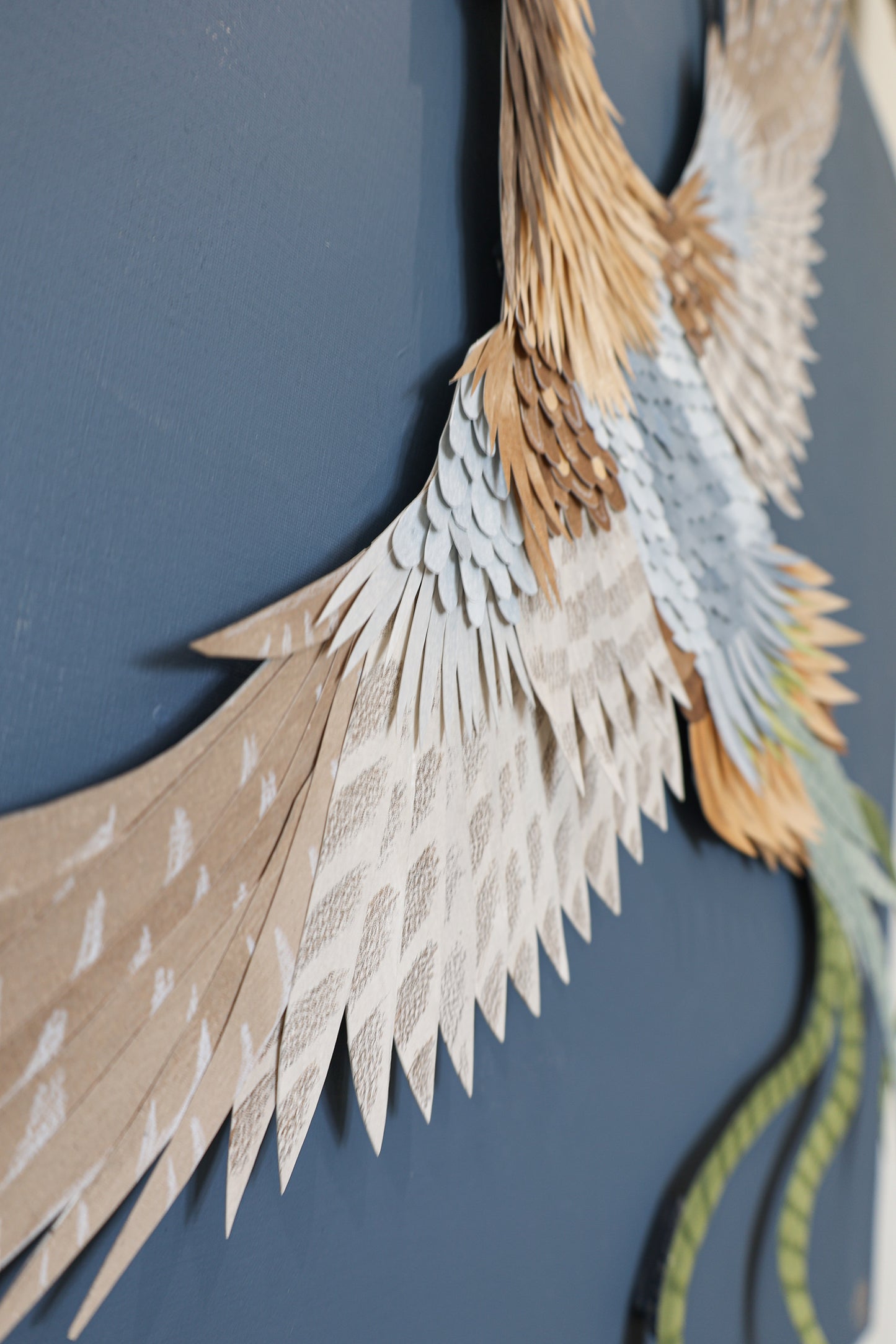 Plumage 2