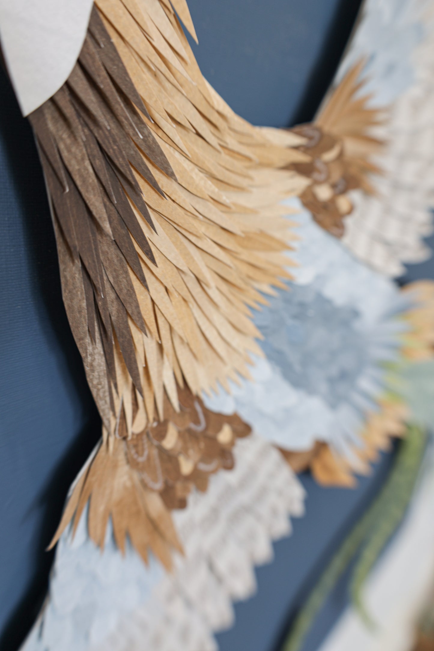Plumage 2