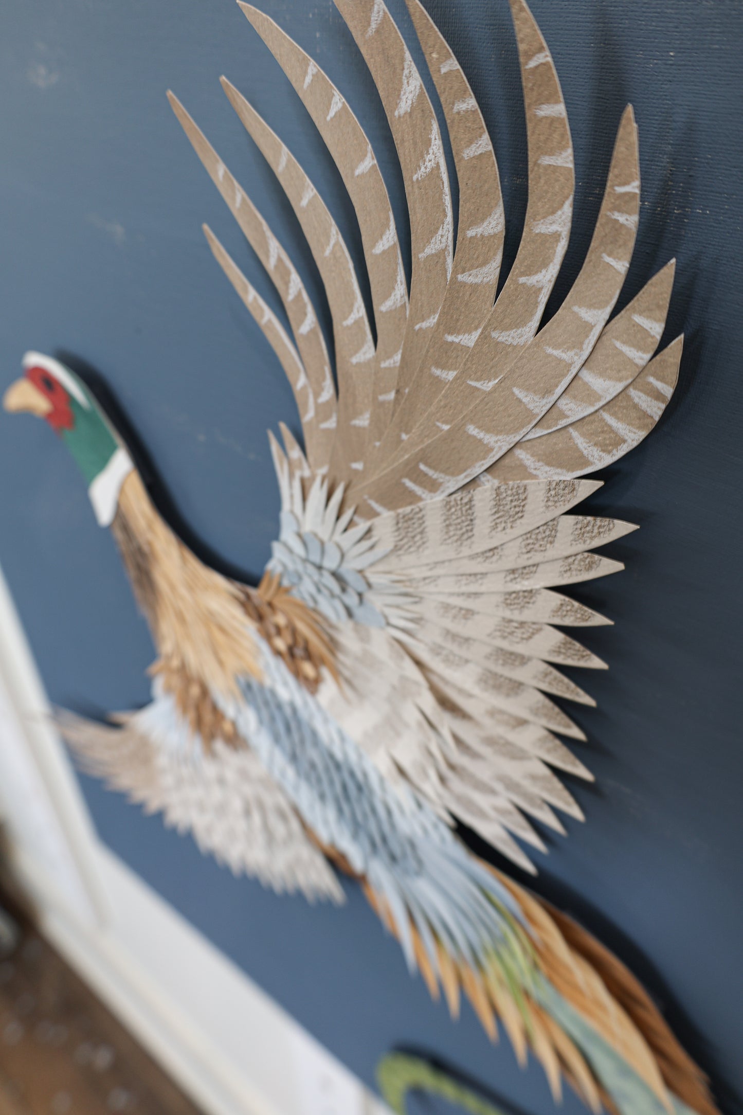 Plumage 2