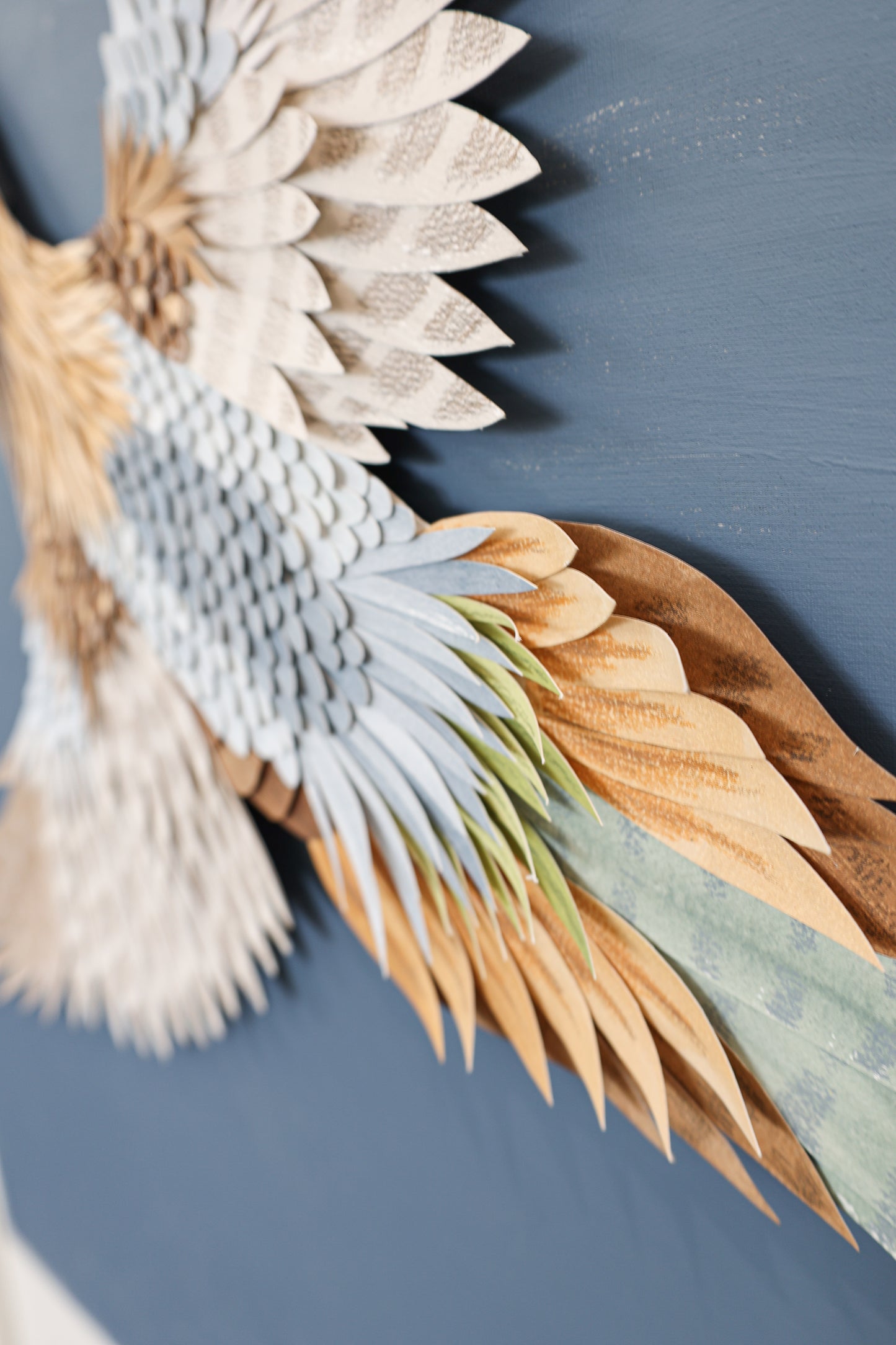 Plumage 2