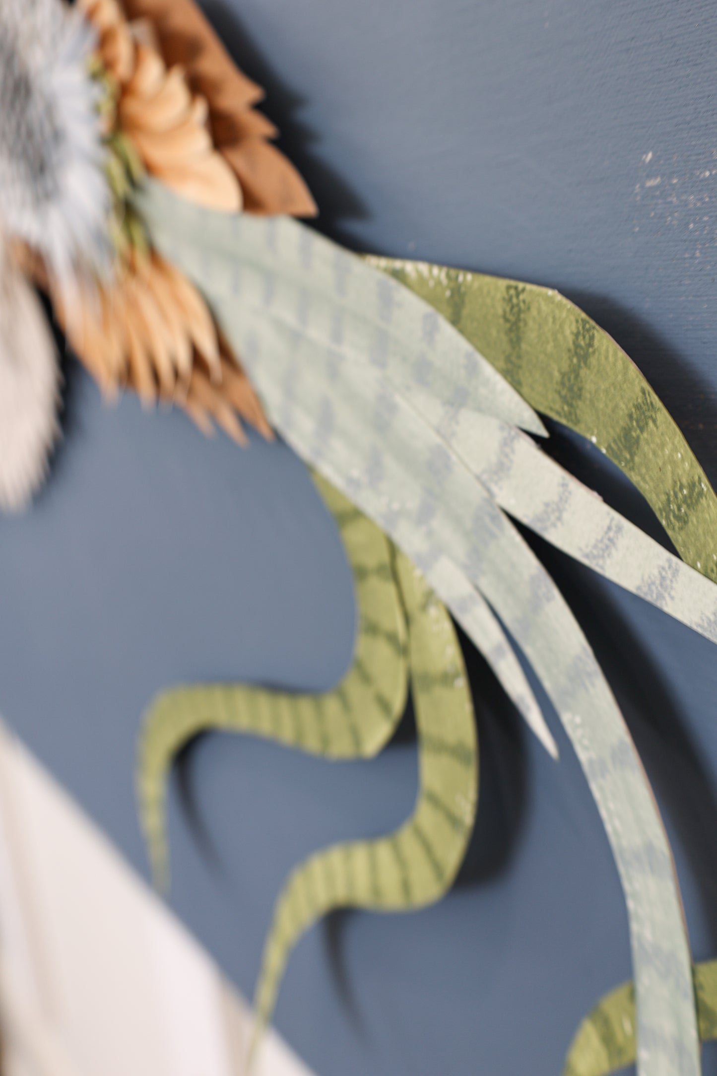 Plumage 2