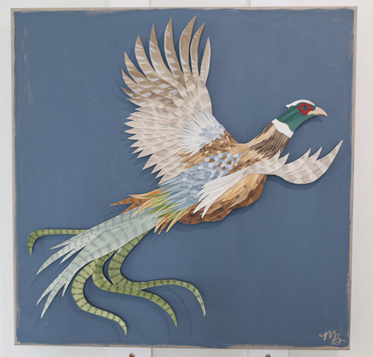 Plumage 1