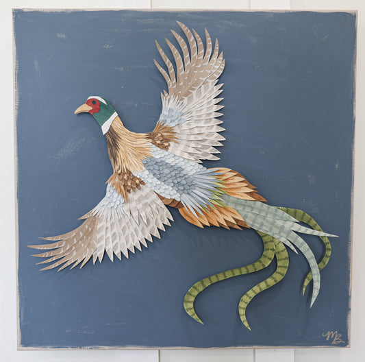 Plumage 2